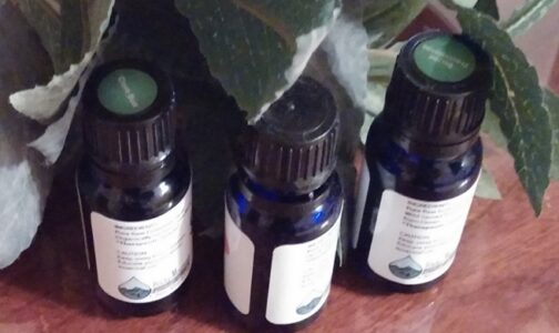 The Show Down- Oil of Oregano vs Cinnamon Oil