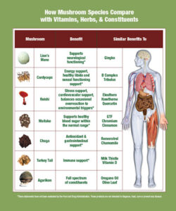 Mushroom chart