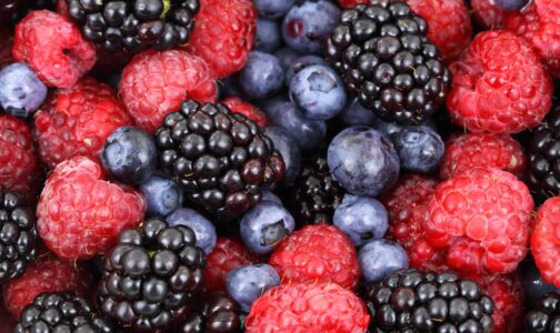 The Gut-Brain Connection: How To Feed Your Brain