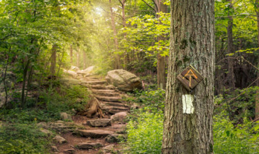 Walk the Distance challenge/ join anytime