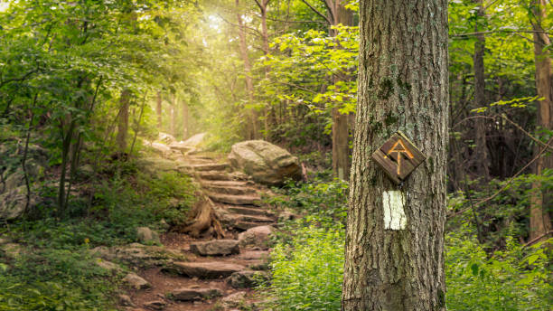Walk the Distance challenge/ join anytime