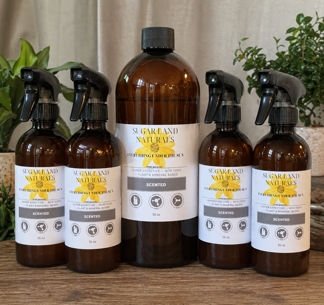 All Purpose Cleaner Starter Pack & More